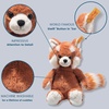 image:imageSoft Cuddly Friends Benji Red Panda 11 Plush Toy