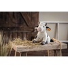 image:imageSteiff Cobb Cow Plush Toy Plush Farm Animal Premium Stuffed Animal Cow for Kids Black amp White 9