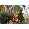 image:imageSteiff Phil Plush Squirrel Premium Stuffed Animal Squirrel for Kids Brown 8