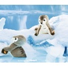 image:imageSteiff Robby Seal