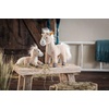 image:imageSteiff Handcrafted Since 1880 Premium Plush Classic Standing Stuffed Animal  11 Gola Horse