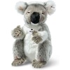 image:imageColo Koala