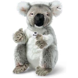 image:imageColo Koala